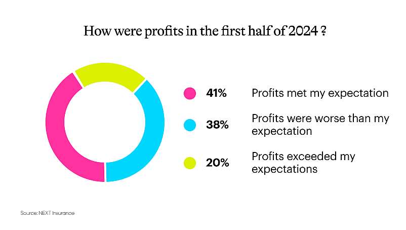 Graph showing results for “How were profits in the first half of 2024?”