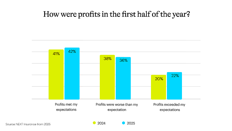 Data chart showing how well did profits do in the first half of the year for small business owners.