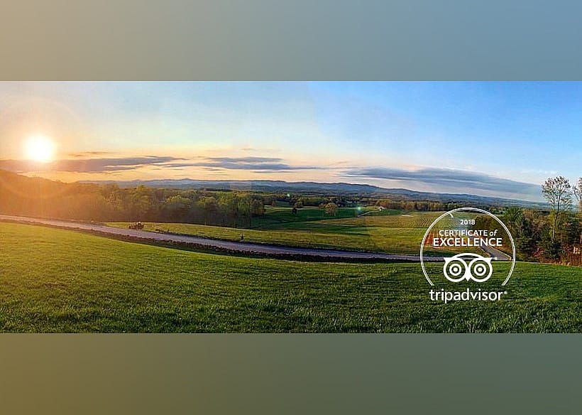#28. Piccione Vineyards