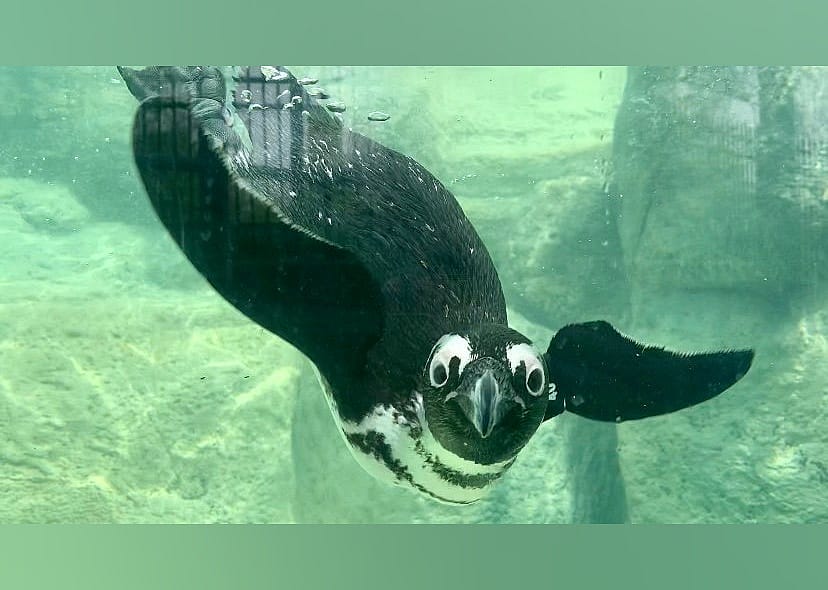 #16. Adventure Aquarium