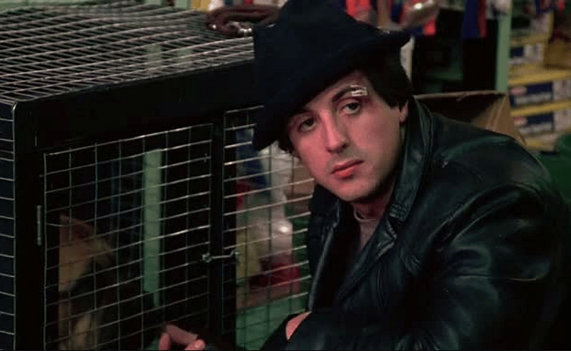 #23. Rocky