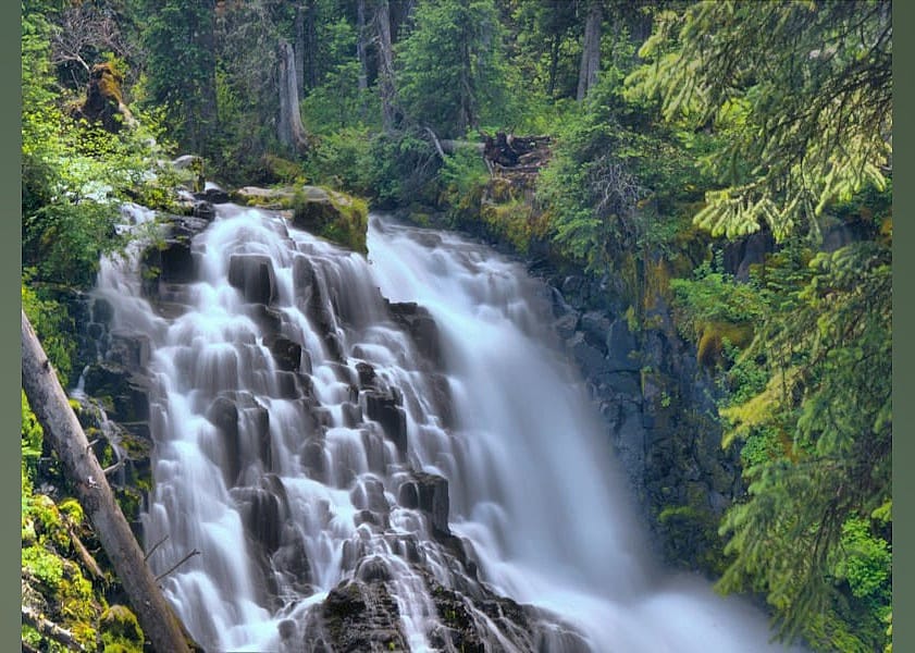 #27. Grotto Falls Trail