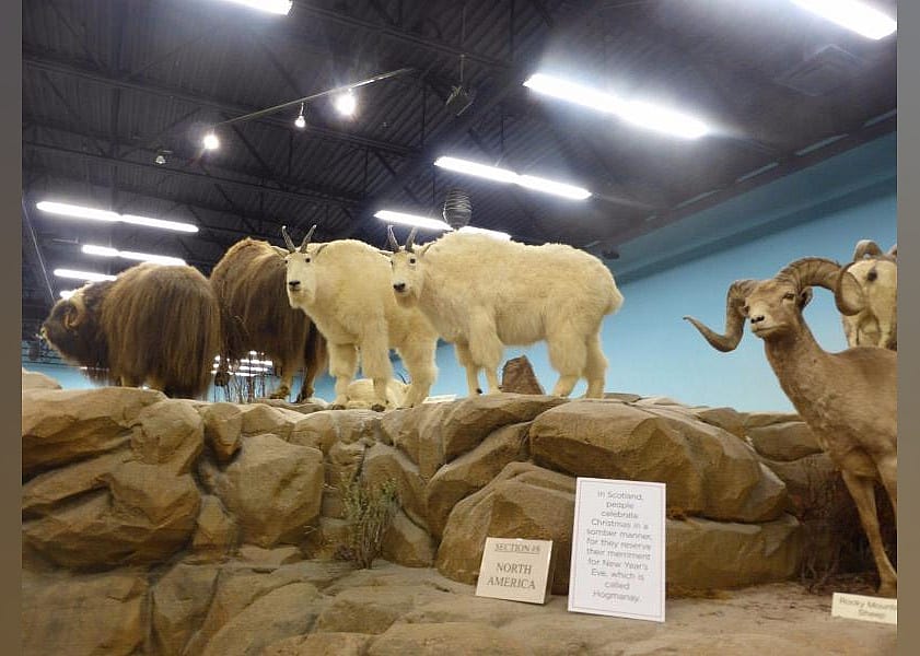 #16. Rosenbruch World Wildlife Museum