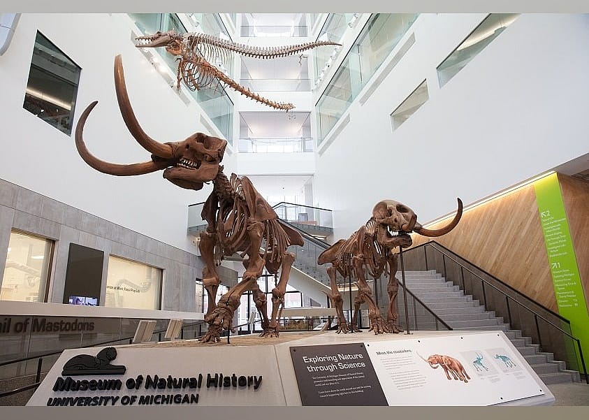 #26. University of Michigan Museum of Natural History