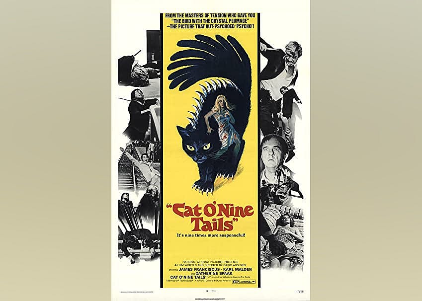 #31. The Cat o' Nine Tails (1971)