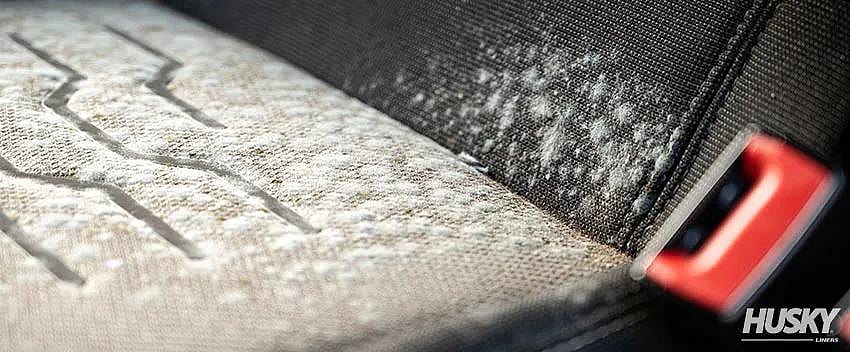 Mold forming on the surface of an upholstered car seat.