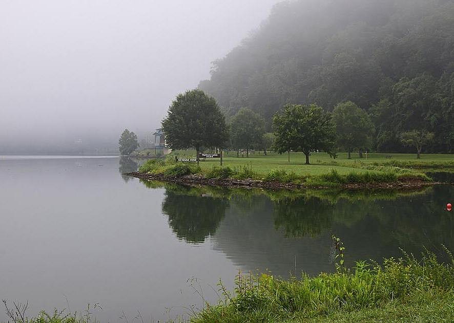 #16. Tennessee