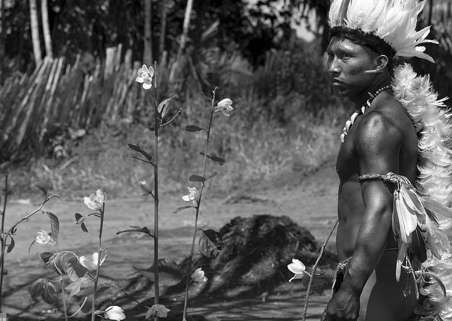 #13. Embrace of the Serpent (2015)