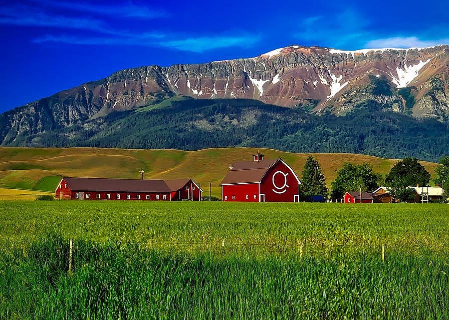 #10. Oregon