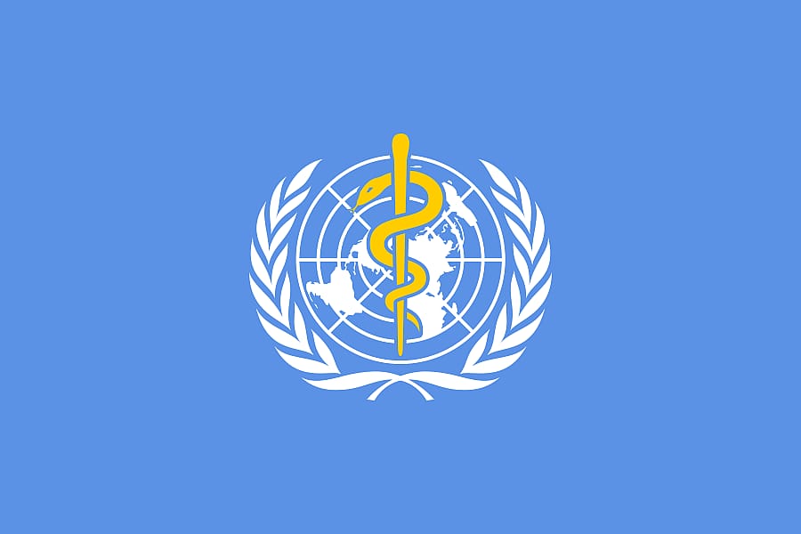 #18. The World Health Organization Designs A New Flu Vaccine Every Year