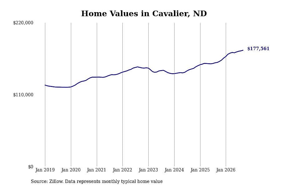 #39. Cavalier