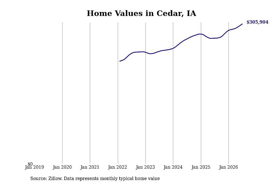 #36. Cedar