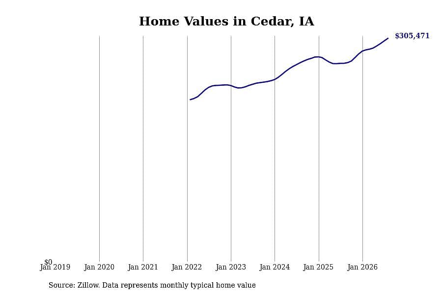 #27. Cedar