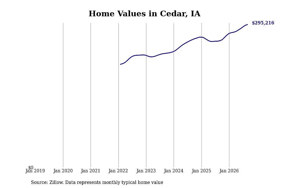 #25. Cedar