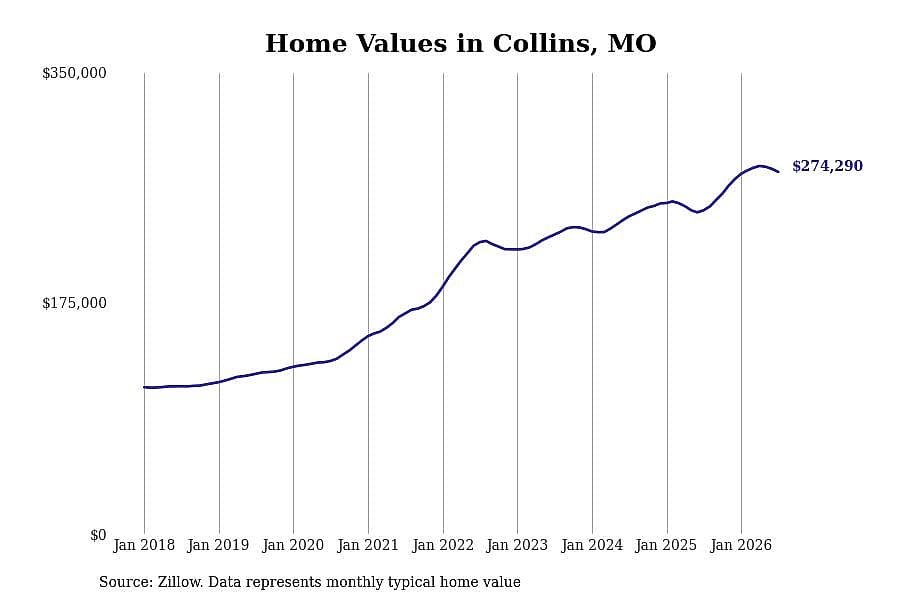 #46. Collins