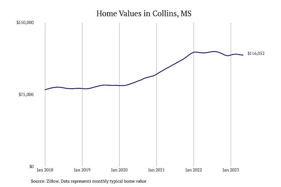 #14. Collins, MS