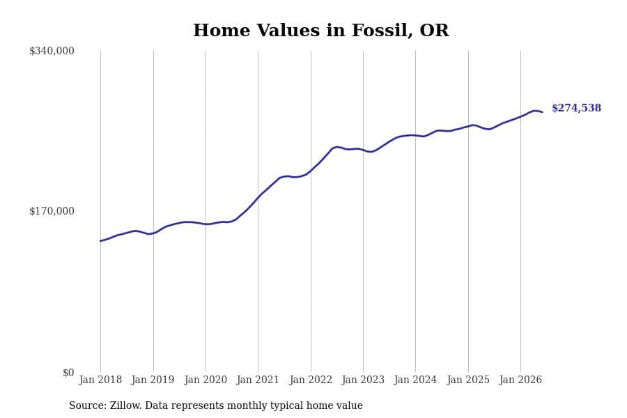 #27. Fossil