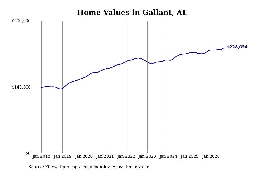 #3. Gallant, AL