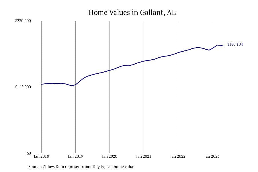 #7. Gallant, AL