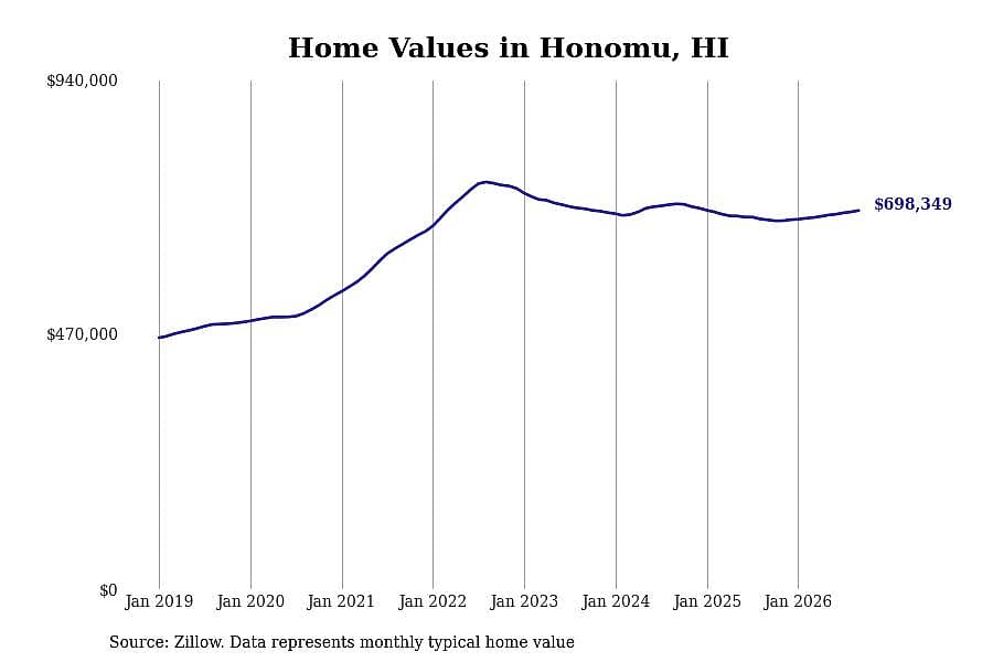 #31. Honomu