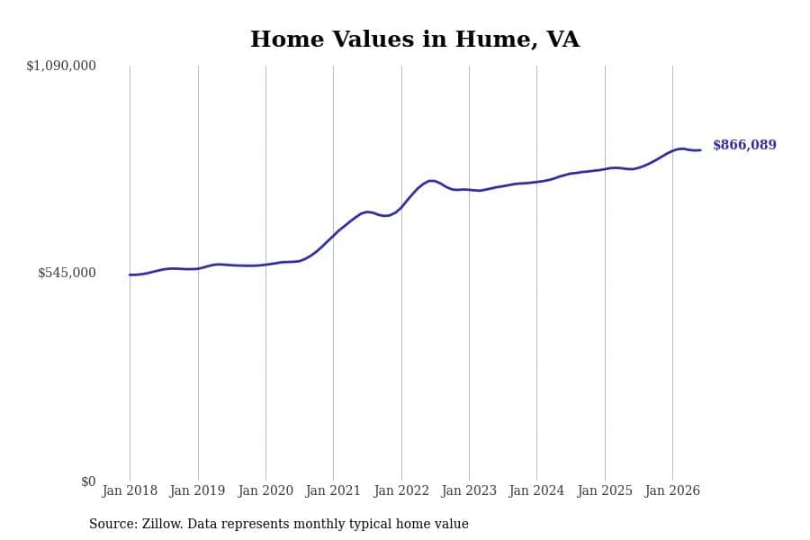 #5. Hume