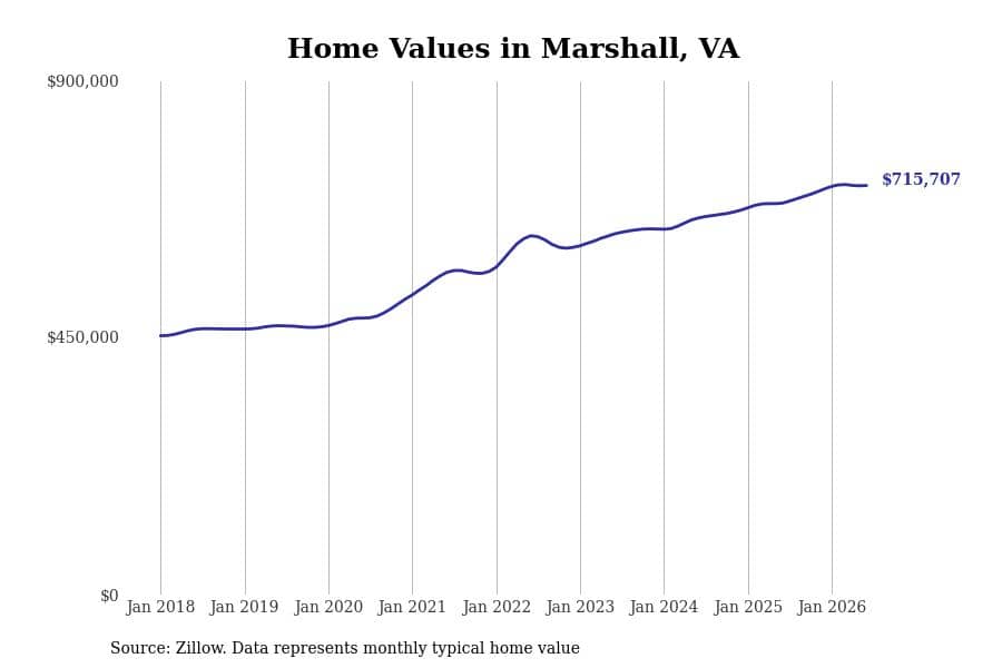 #20. Marshall