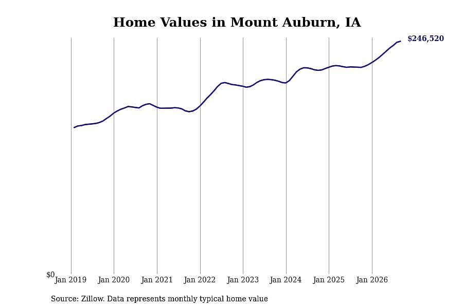 #46. Mount Auburn