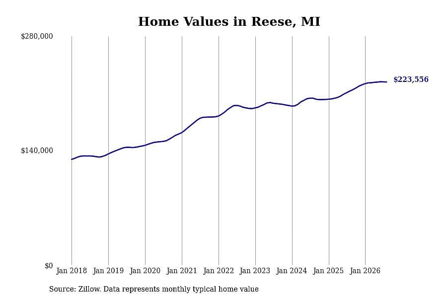 #6. Reese, MI