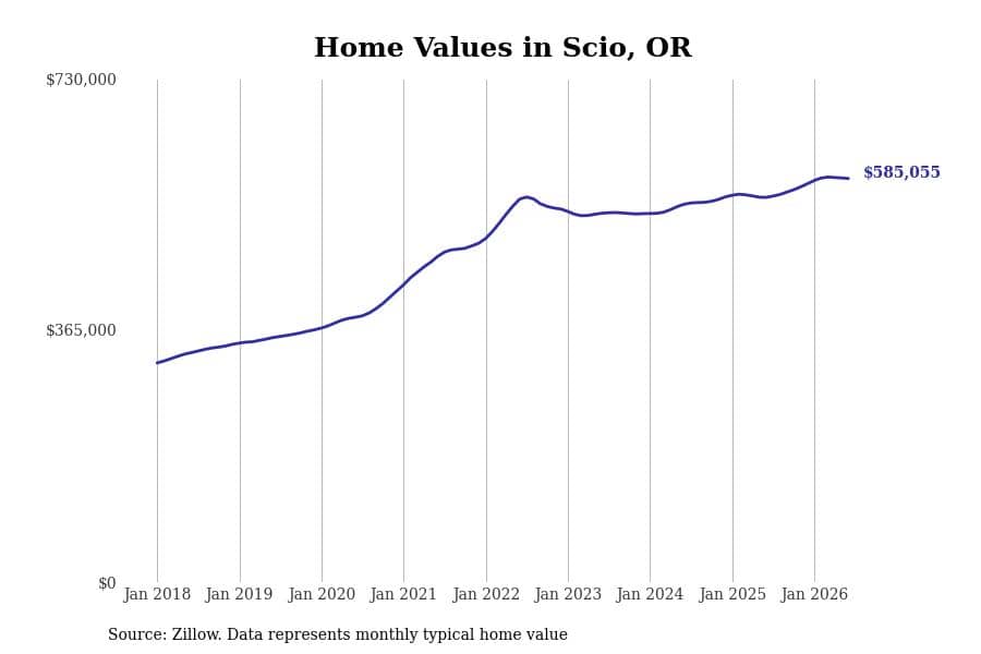 #6. Scio