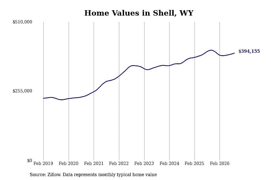 #29. Shell