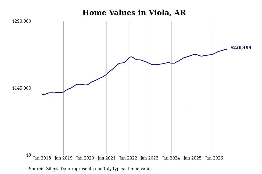 #34. Viola