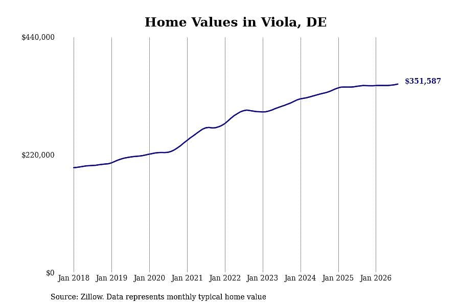#38. Viola