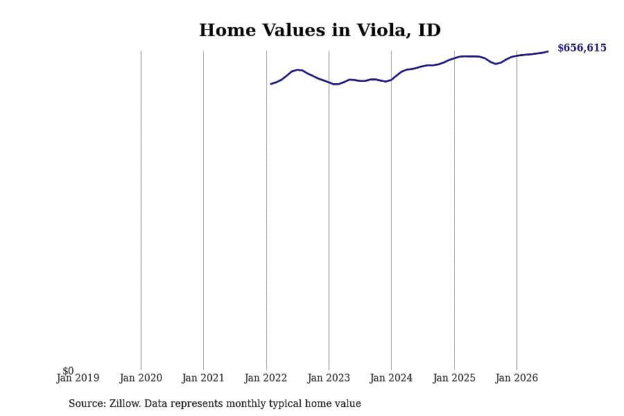 #26. Viola