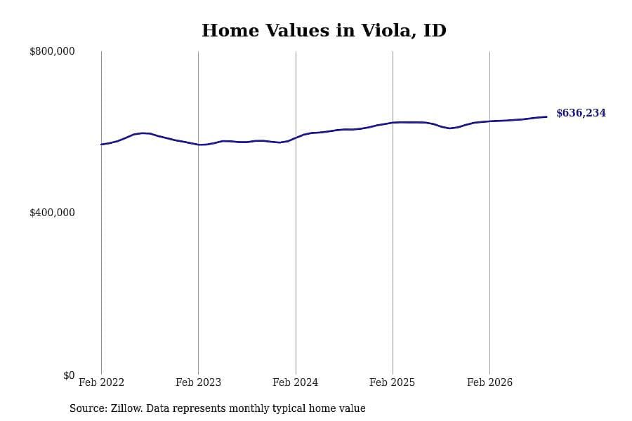 #30. Viola