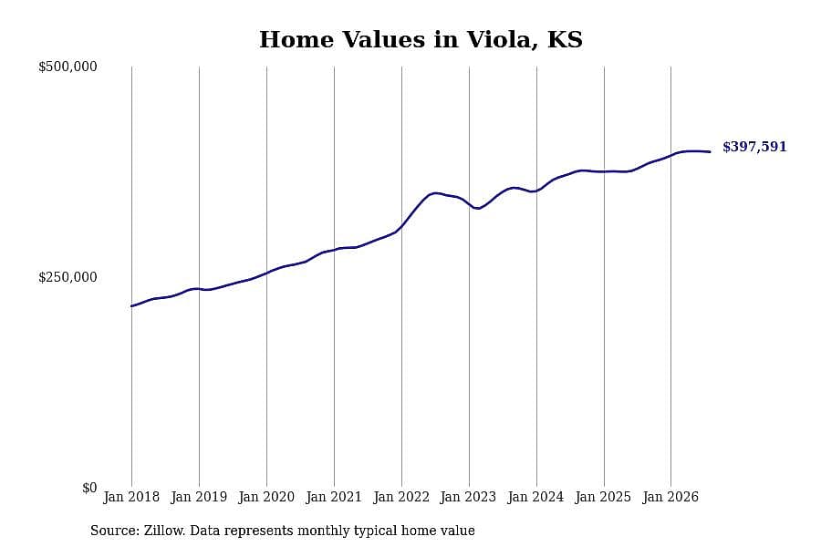 #21. Viola