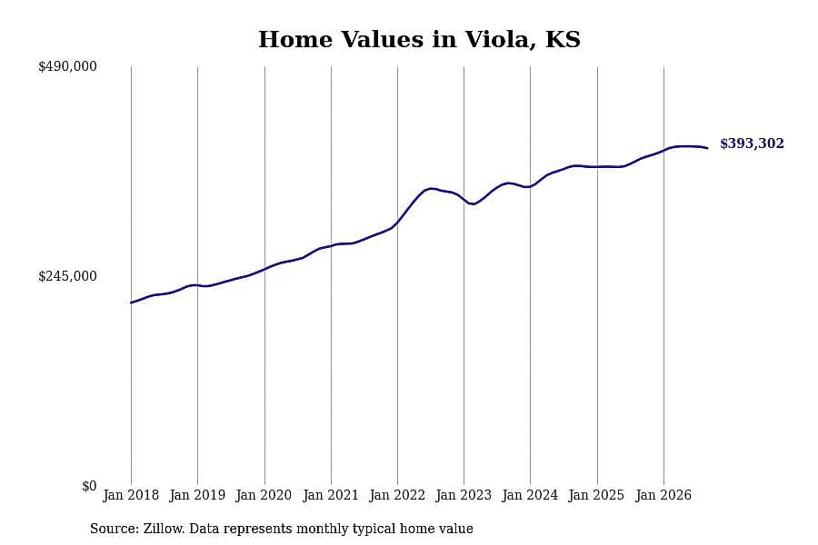 #21. Viola