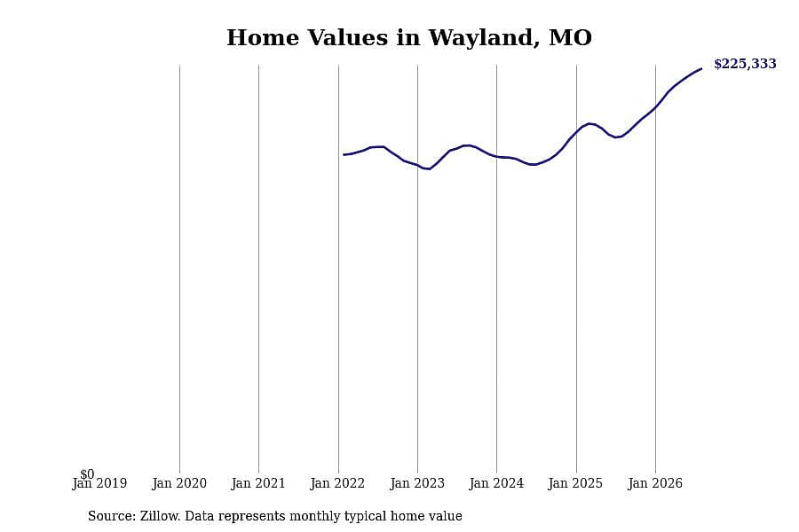 #17. Wayland