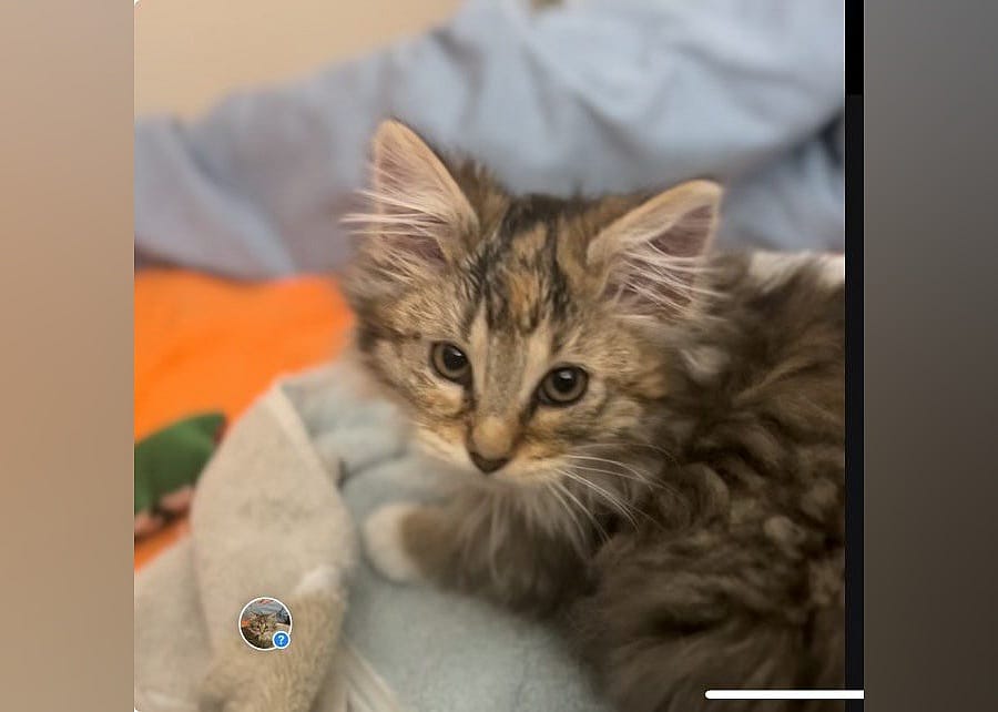 Esmerelda (bonded to Vinny)
