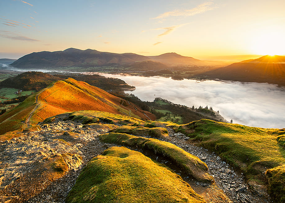Daniel_Kay // Shutterstock