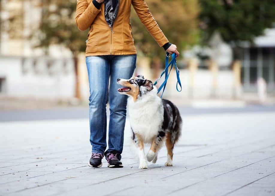 otsphoto // Shutterstock