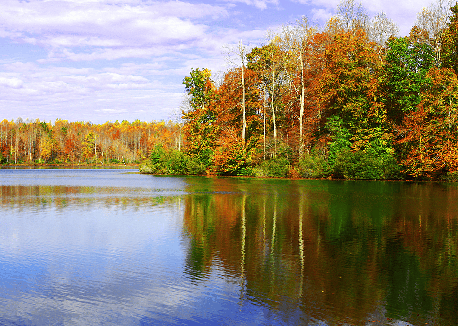 Barry Blackburn // Shutterstock