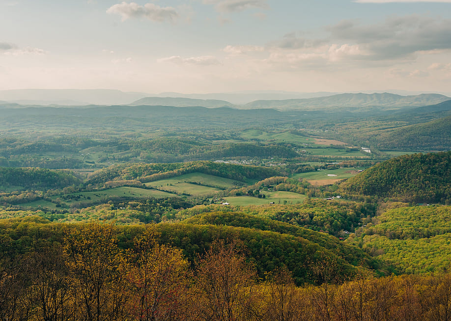 Jon Bilous // Shutterstock