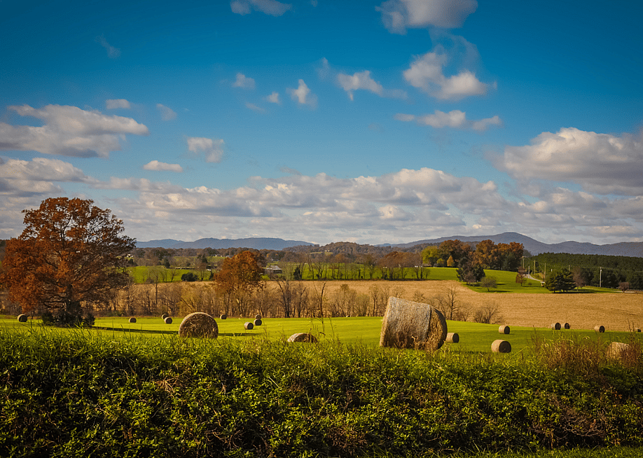 Jon Marc Lyttle / Shutterstock