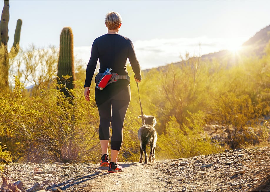 Susan Schmitz // Shutterstock