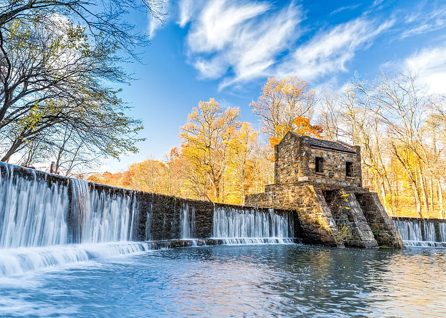 Mihai_Andritoiu // Shutterstock