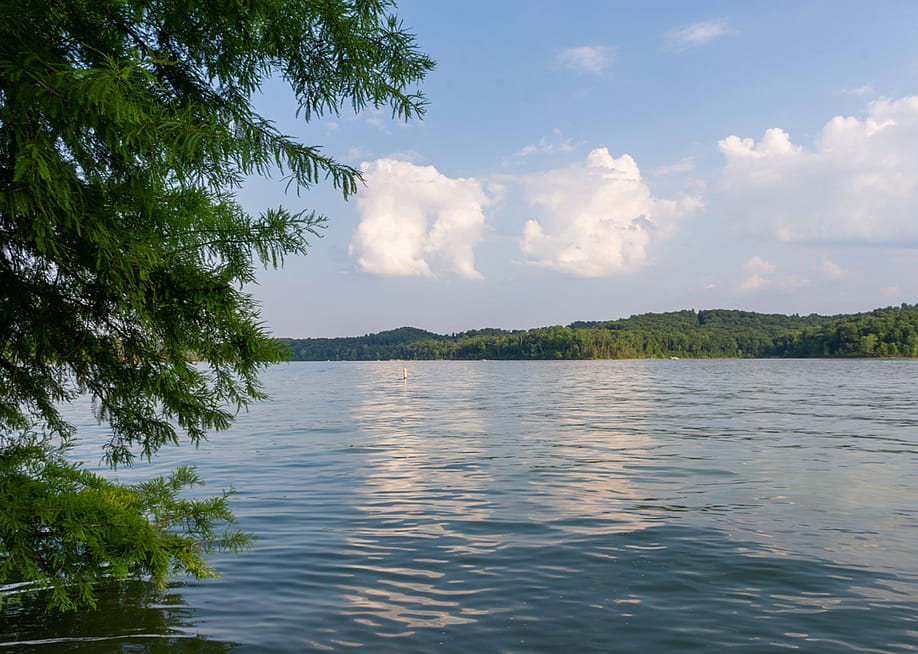 Michele Korfhage // Shutterstock