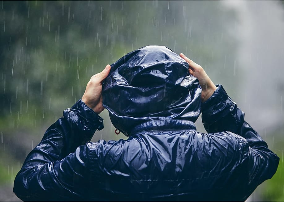 Jaromir Chalabala // Shutterstock