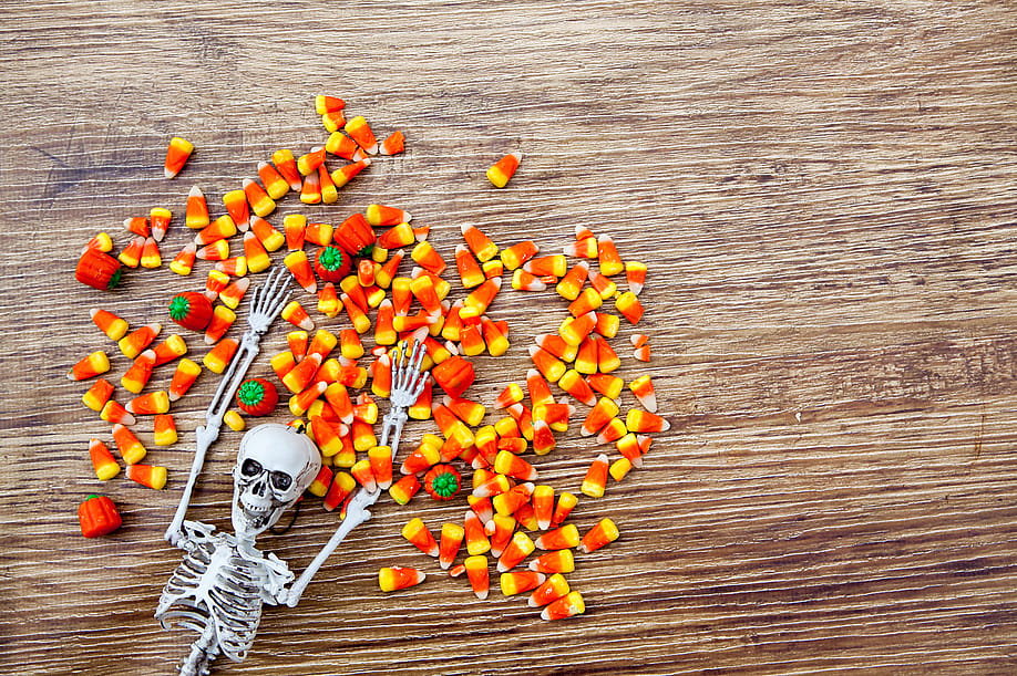 gsk2014 // Shutterstock