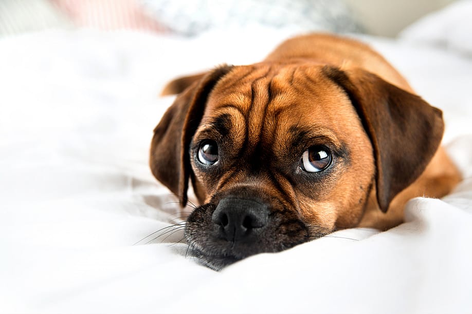 Anna Hoychuk // Shutterstock