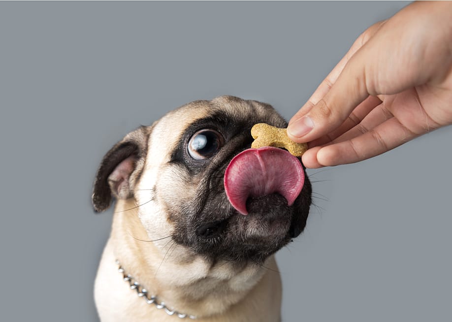 angelbandala // Shutterstock